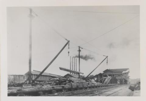 logs lifted up by booms