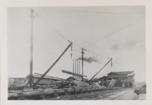 logs lifted up by booms