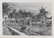 a row of American homes