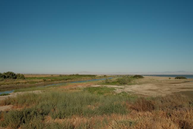 Atwell Islands