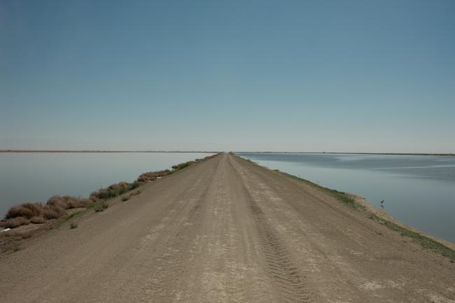 A dirt road surrounded by water as far as the eye can see.