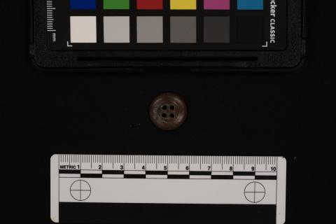 Button with color card and scale