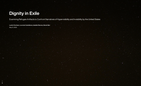 Screenshot of 2025 Group 9 virtual exhibit