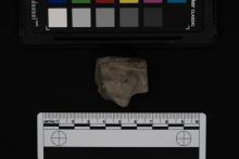 Rock, color card and scale